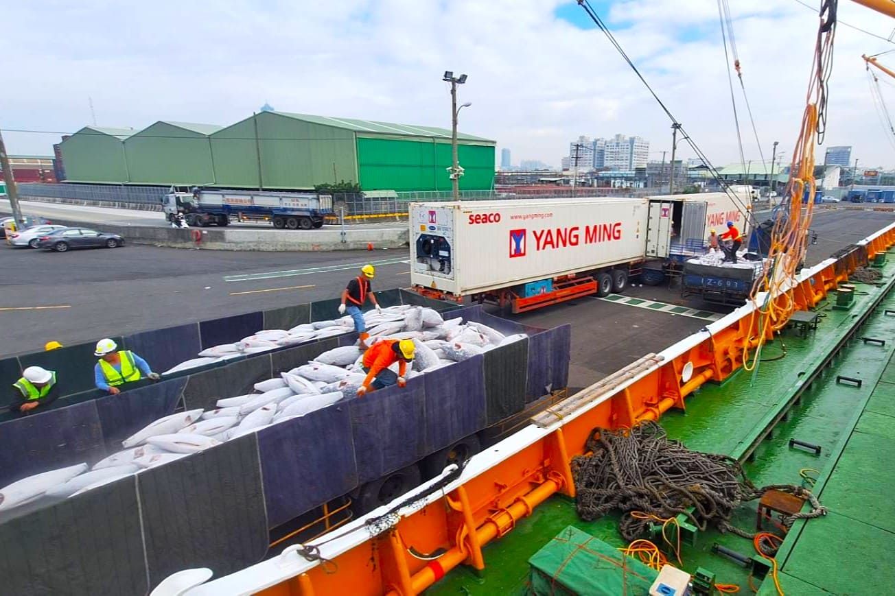 Shekinah International Group - Reefer Vessel Handling - Unloading Operations of Ultra-Low Temperature Refrigerated Transport Vessels