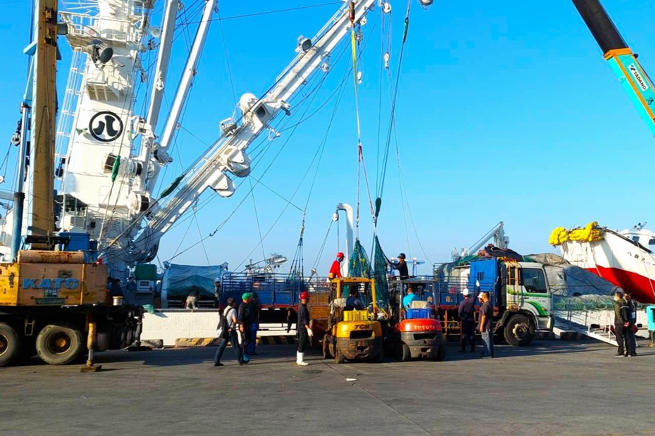 Shekinah International Group - Reefer Vessel Handling - Japanese Purse Seine Vessel Unloading Operations at Kaohsiung Port