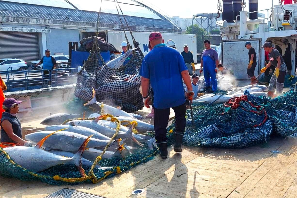 Shekinah International Group - Reefer Vessel Handling - Japanese Purse Seine Vessel Unloading Operations at Kaohsiung Port